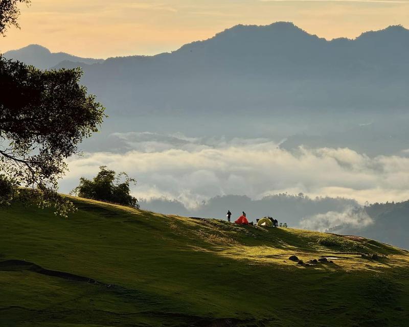 https://files.locallife.asia/images/800/1776944846465-tu-nac-3 - Copy.jpg